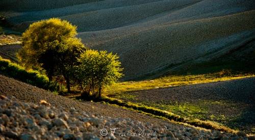 l'eroica gara ciclistica franco aresi