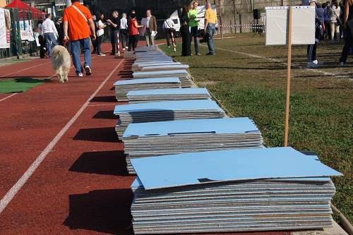 malnate record mosaico umano