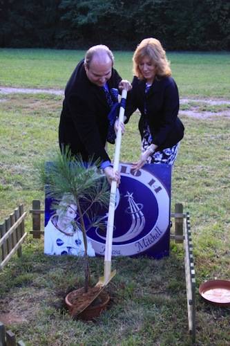 parco pineta albero luna