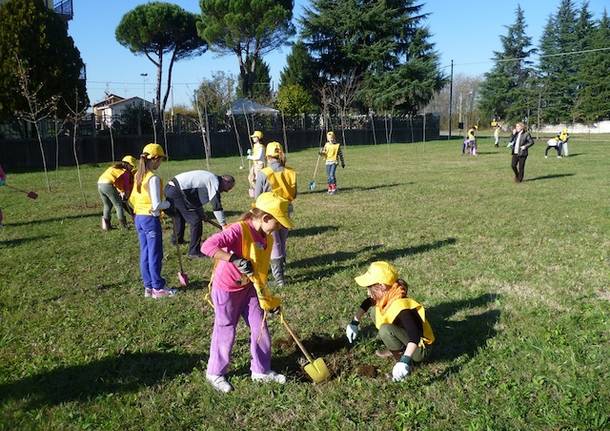 alberi bambini legambiente tradate