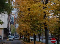 autunno busto arsizio