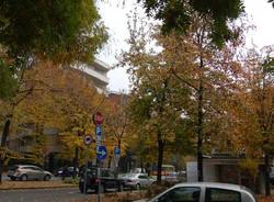 autunno busto arsizio