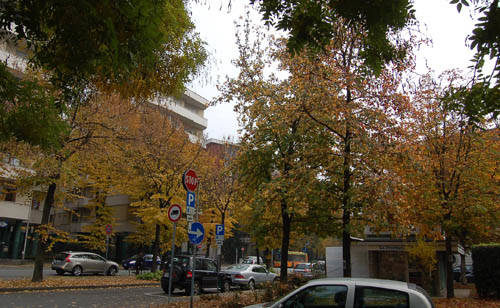 autunno busto arsizio