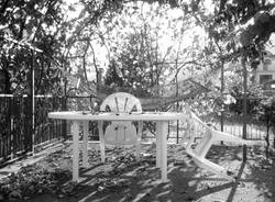 autunno lettori 2011