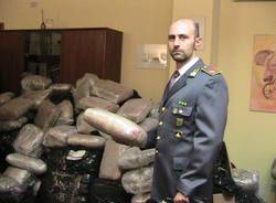 Cinque quintali di marijuana (inserita in galleria)