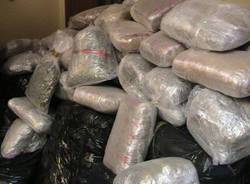 Cinque quintali di marijuana (inserita in galleria)