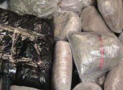 Cinque quintali di marijuana (inserita in galleria)