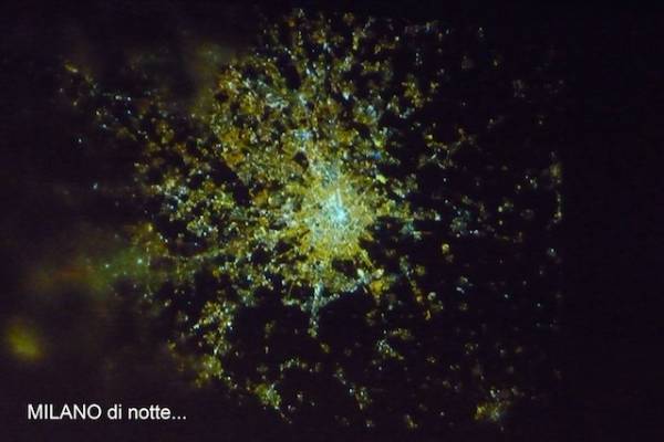 Nespoli a Tradate (inserita in galleria)