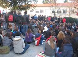protesta liceo classico cairoli varese giovanni gentile novembre 2011