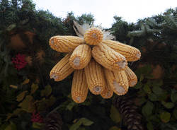 saronno 11 11 giovanna