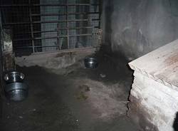sequestro cane gavirate