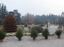 I Giardini illuminati (inserita in galleria)