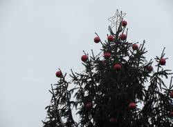 Illuminato l'albero "sobrio" (inserita in galleria)