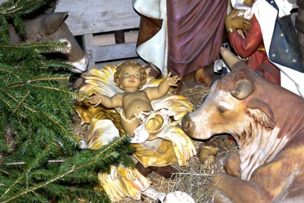 Induno: presepe rovinato dai vandali (inserita in galleria)