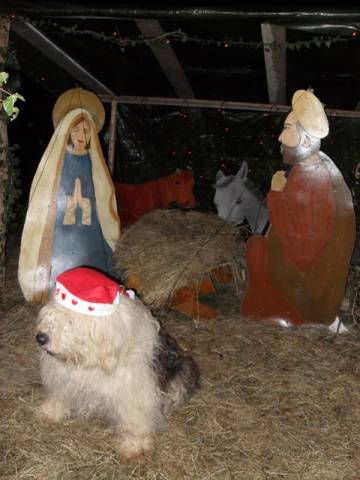 Natale dei lettori 10 (inserita in galleria)