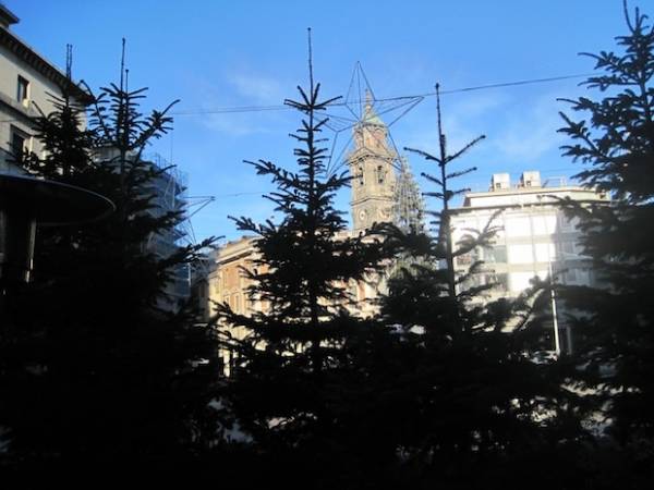Un giardino in piazza monte Grappa (inserita in galleria)