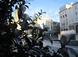 Un giardino in piazza monte Grappa (inserita in galleria)