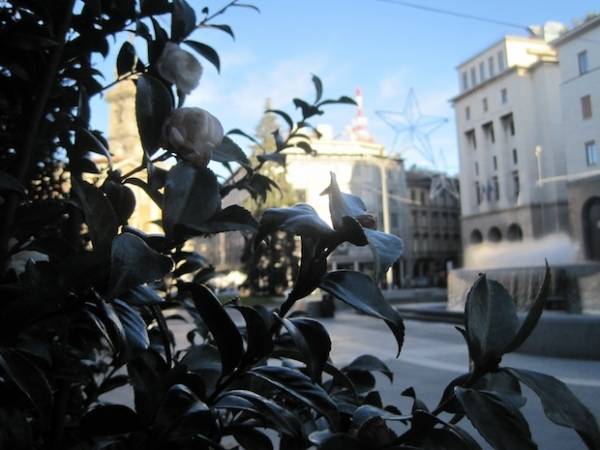 Un giardino in piazza monte Grappa (inserita in galleria)
