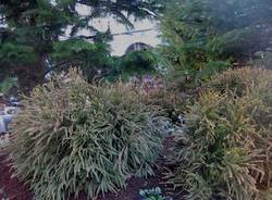 Un giardino in piazza monte Grappa (inserita in galleria)