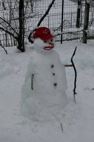 Artisti della neve (inserita in galleria)