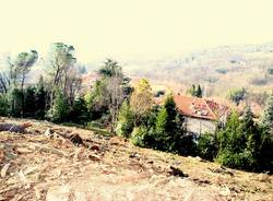 Bosco abbattuto in via Monte Bernasco (inserita in galleria)