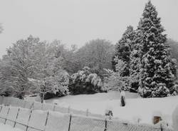 Domenica con la neve dei lettori 2 (inserita in galleria)