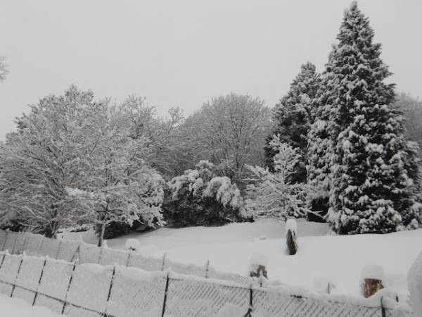 Domenica con la neve dei lettori 2 (inserita in galleria)