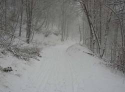 La neve in Valganna (inserita in galleria)