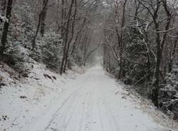 La neve in Valganna (inserita in galleria)