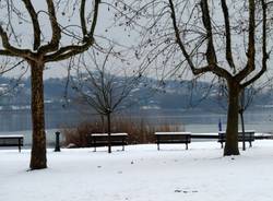 Neve a Varese (inserita in galleria)