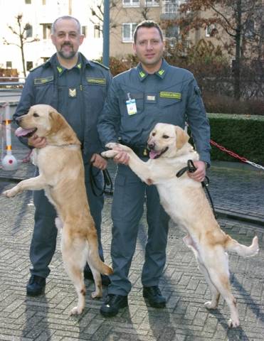 Tango e Cash, i cani fiutasoldi (inserita in galleria)