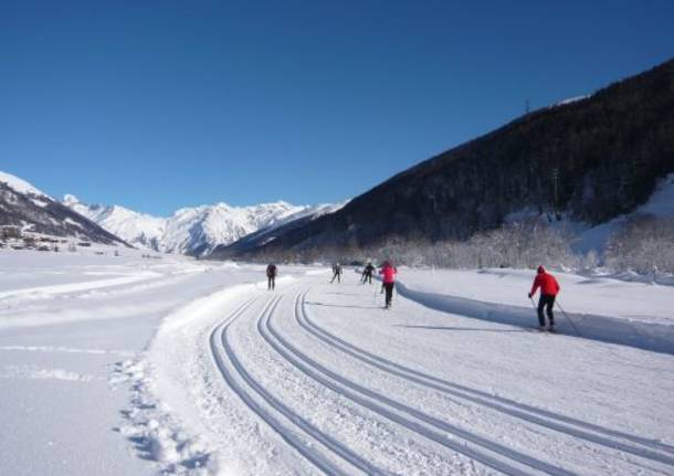 Valle di Goms (Vallese)