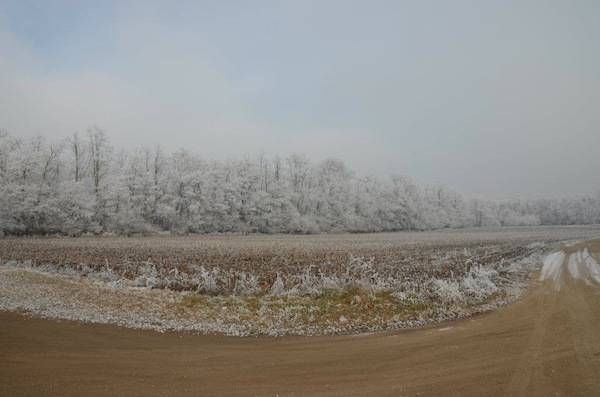 via gaggio innevata galaverna inverno lonate pozzolo