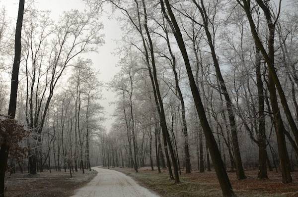 via gaggio innevata galaverna inverno lonate pozzolo