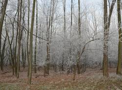via gaggio innevata galaverna inverno lonate pozzolo