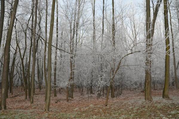 via gaggio innevata galaverna inverno lonate pozzolo