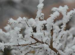 via gaggio innevata galaverna inverno lonate pozzolo