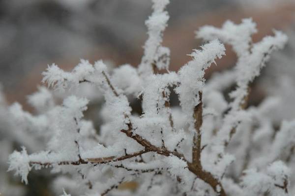 via gaggio innevata galaverna inverno lonate pozzolo