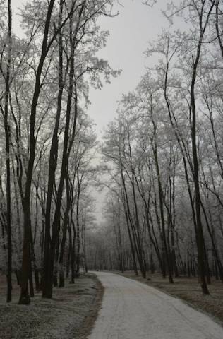 via gaggio innevata galaverna inverno lonate pozzolo (per gallerie fotografiche)