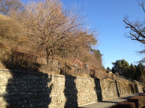 Villa Della Torre, polemiche sui lavori (inserita in galleria)