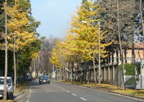 corso cristoforo colombo via raffaello sanzio