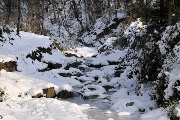 Ghiaccio e neve alla prima cascata di Cittiglio (inserita in galleria)