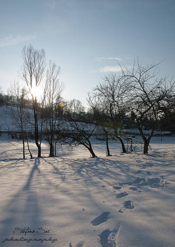 In controluce
