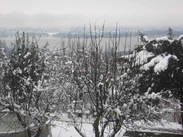 La neve a Oltrona (inserita in galleria)