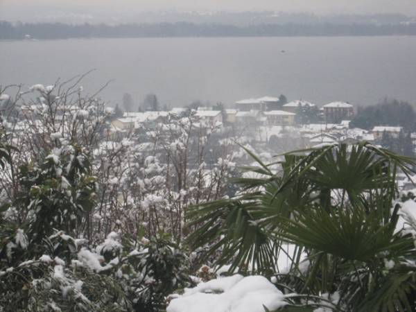 La neve a Oltrona (inserita in galleria)