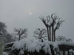 La neve dei lettori 2 (inserita in galleria)