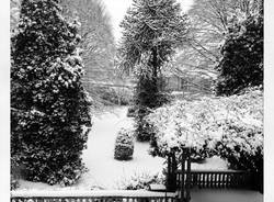 La neve dei lettori 2 (inserita in galleria)