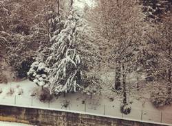 La neve dei lettori 3 (inserita in galleria)