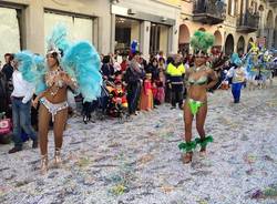 La sfilata di carnevale a Varese  (inserita in galleria)