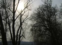 lago ghiacciato varese 2012 (per gallerie fotografiche)